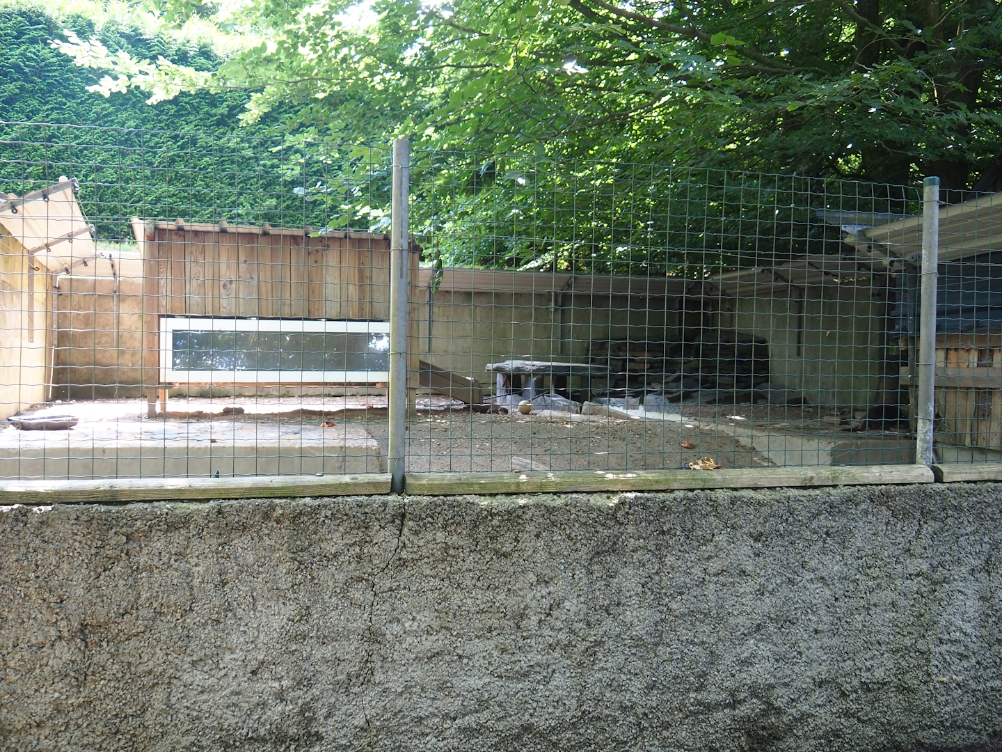 Asian small-clawed otter exhibit, 2023-06-24