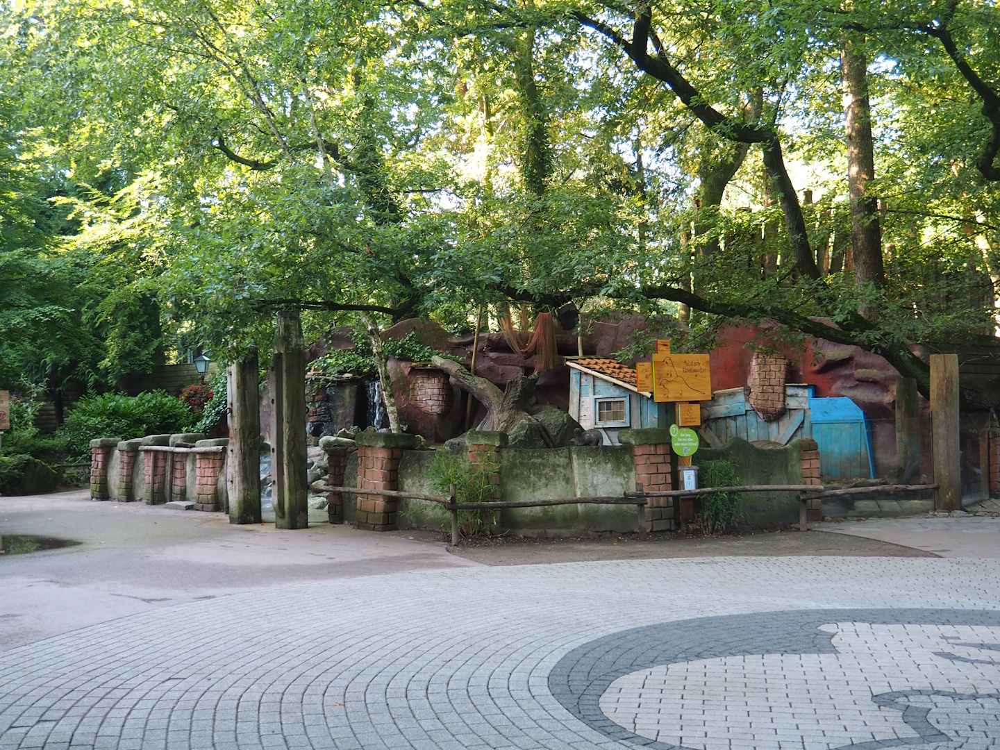 Asian small-clawed otter exhibit, 2023-09-24