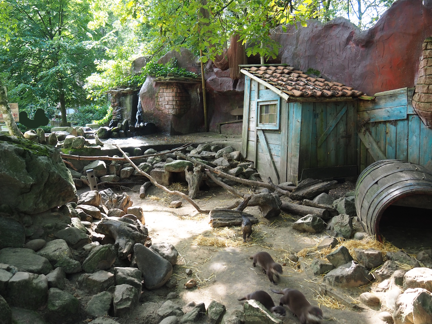 Asian small-clawed otter exhibit, 2023-09-24