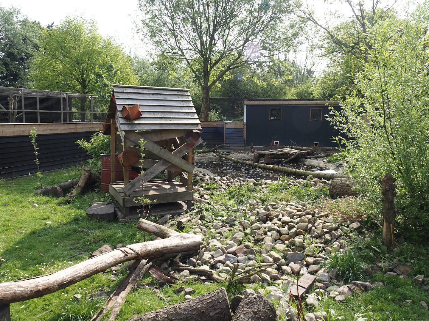 Asian small-clawed otter exhibit, 2024-05-11