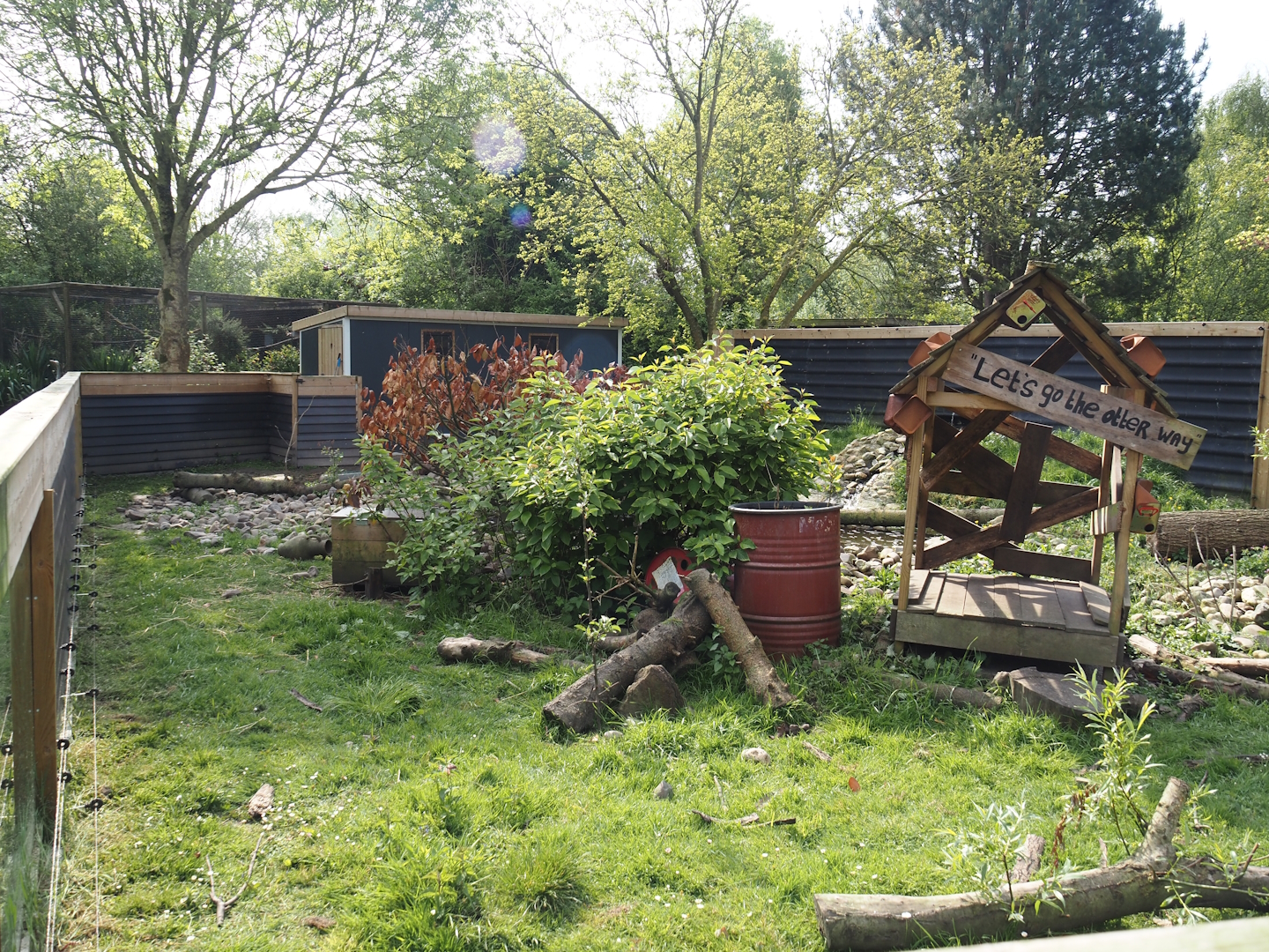 Asian small-clawed otter exhibit, 2024-05-11