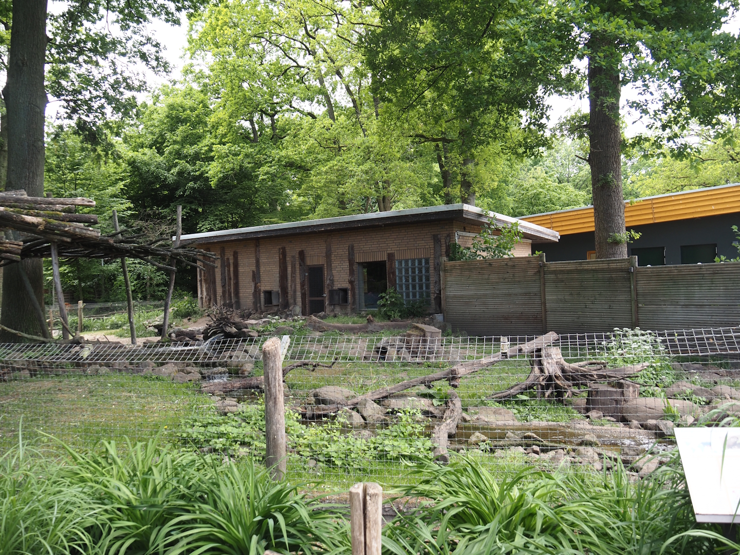 Asian small-clawed otter exhibit, 2025-05-22