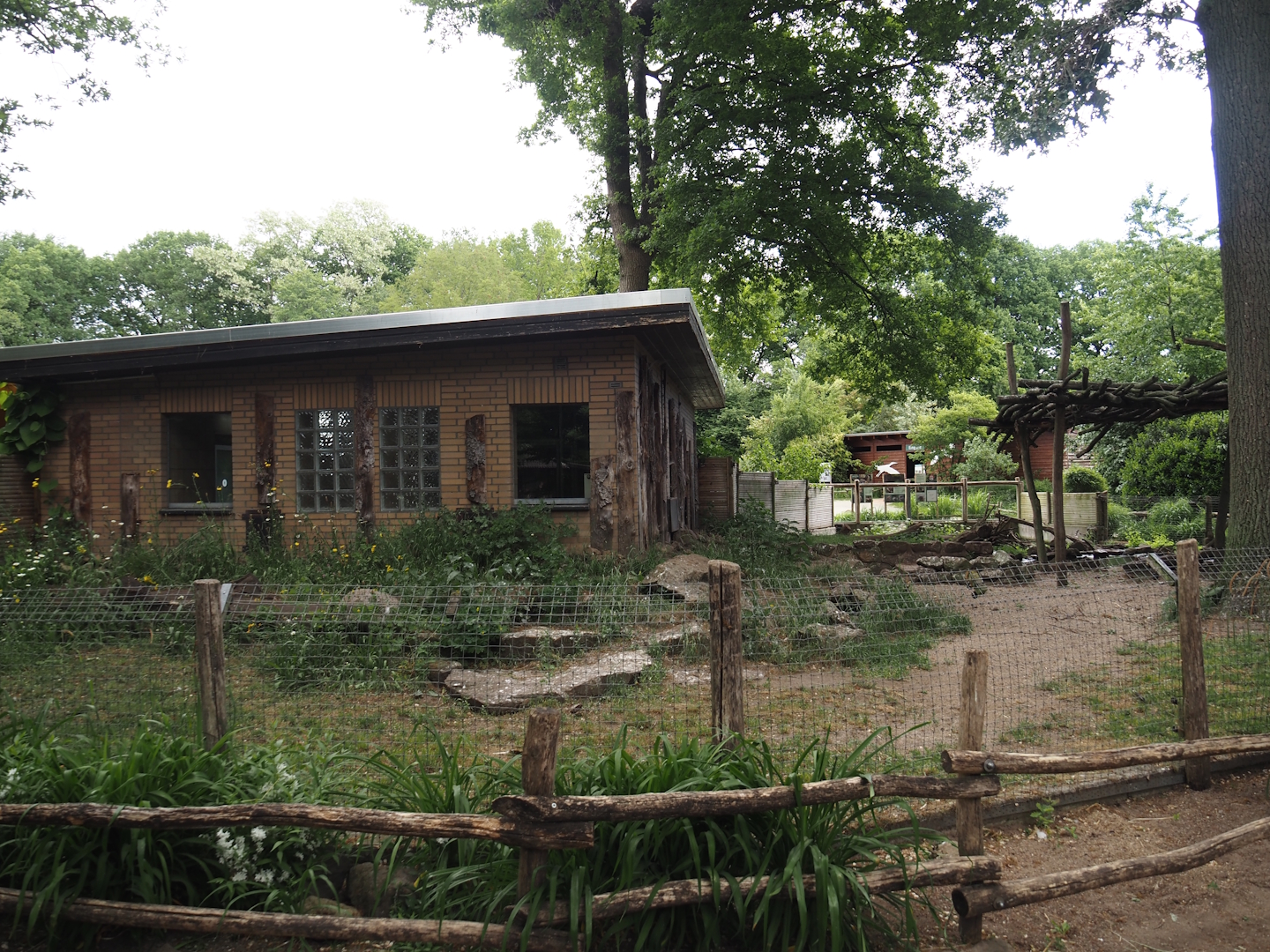 Asian small-clawed otter exhibit, 2025-05-22