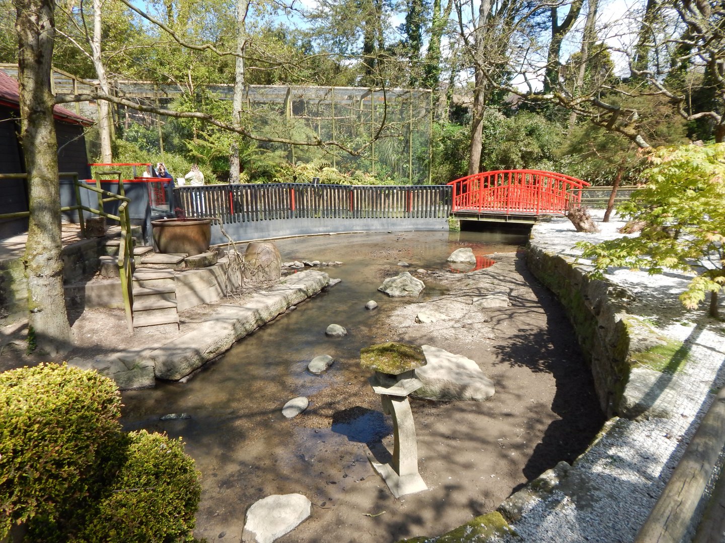 Asian small-clawed otter exhibit 240424