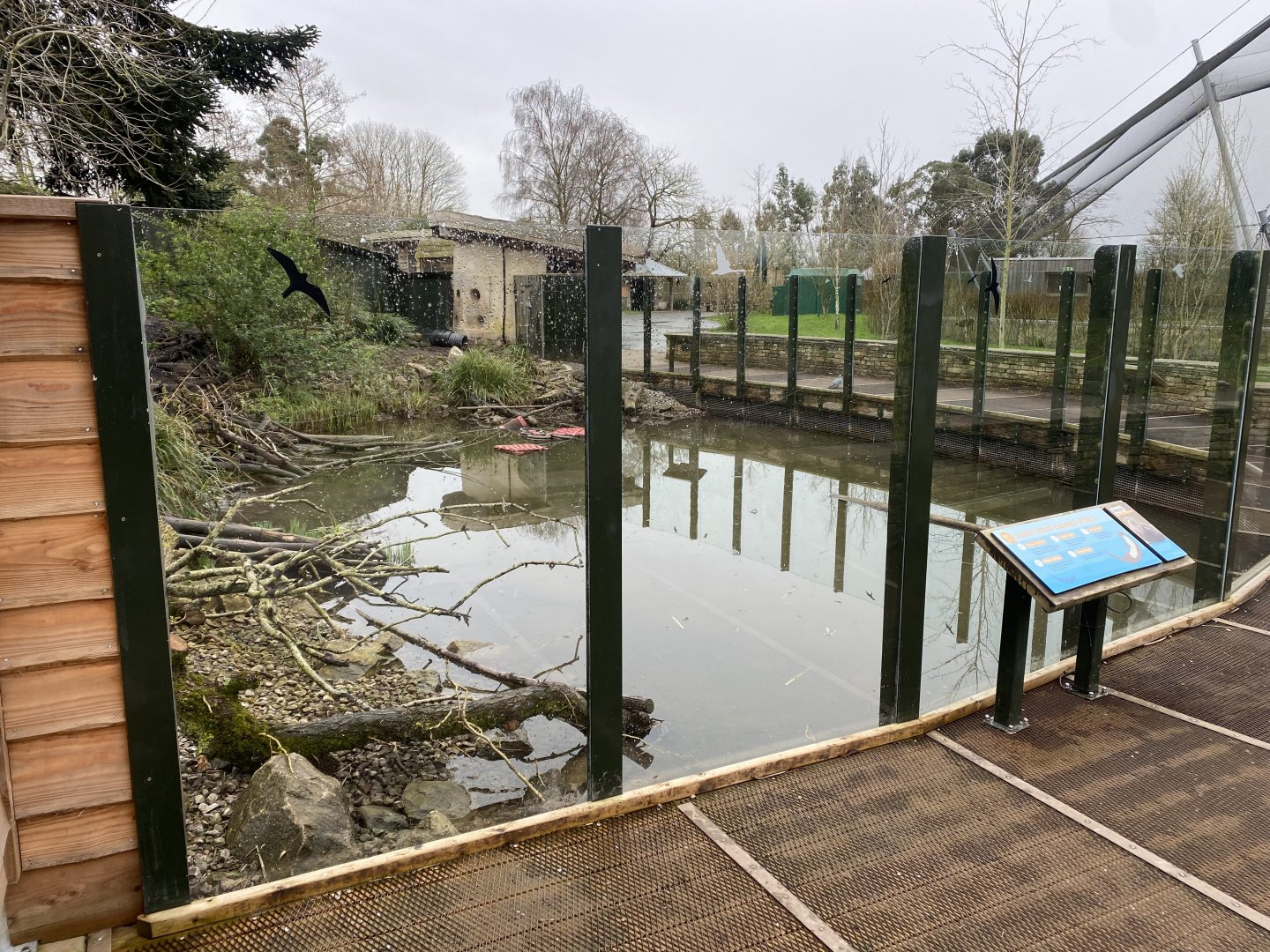 Asian small-clawed otter exhibit 290224