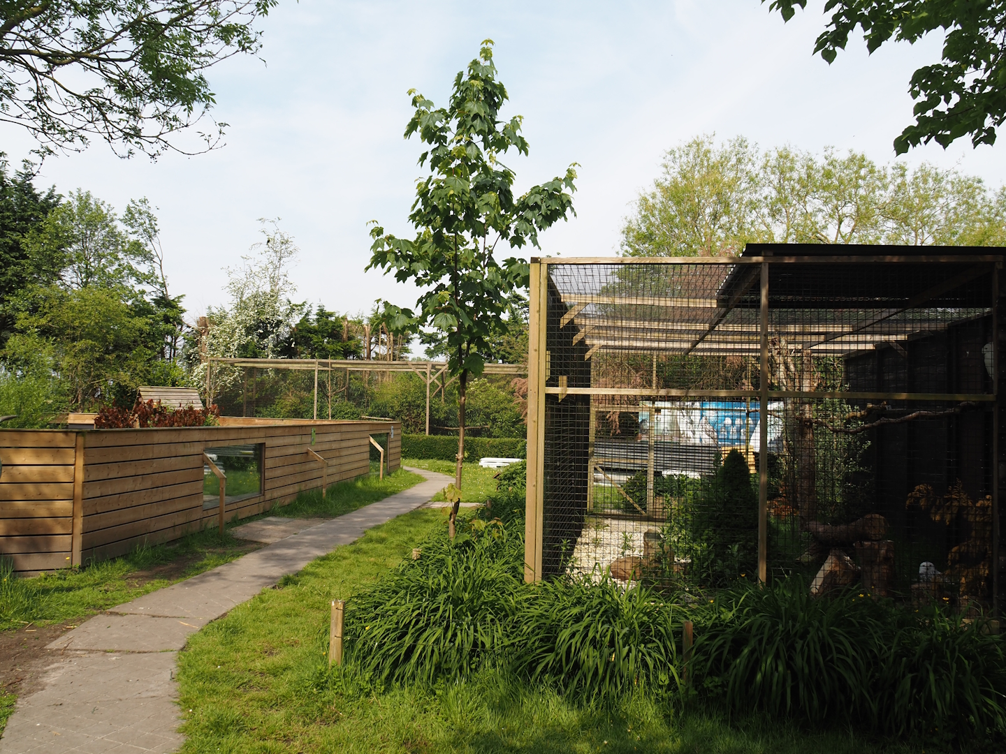 Asian small-clawed otter exhibit and Snowy owl aviary, 2024-05-11