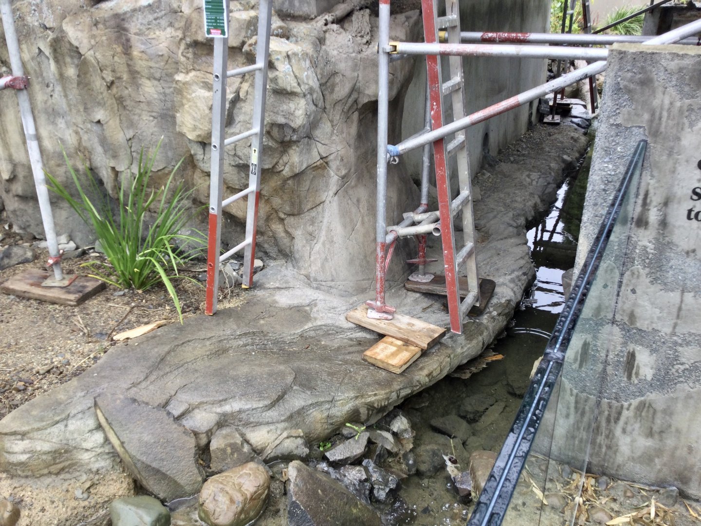 Asian Small-clawed Otter Exhibit (Connecting water channel)