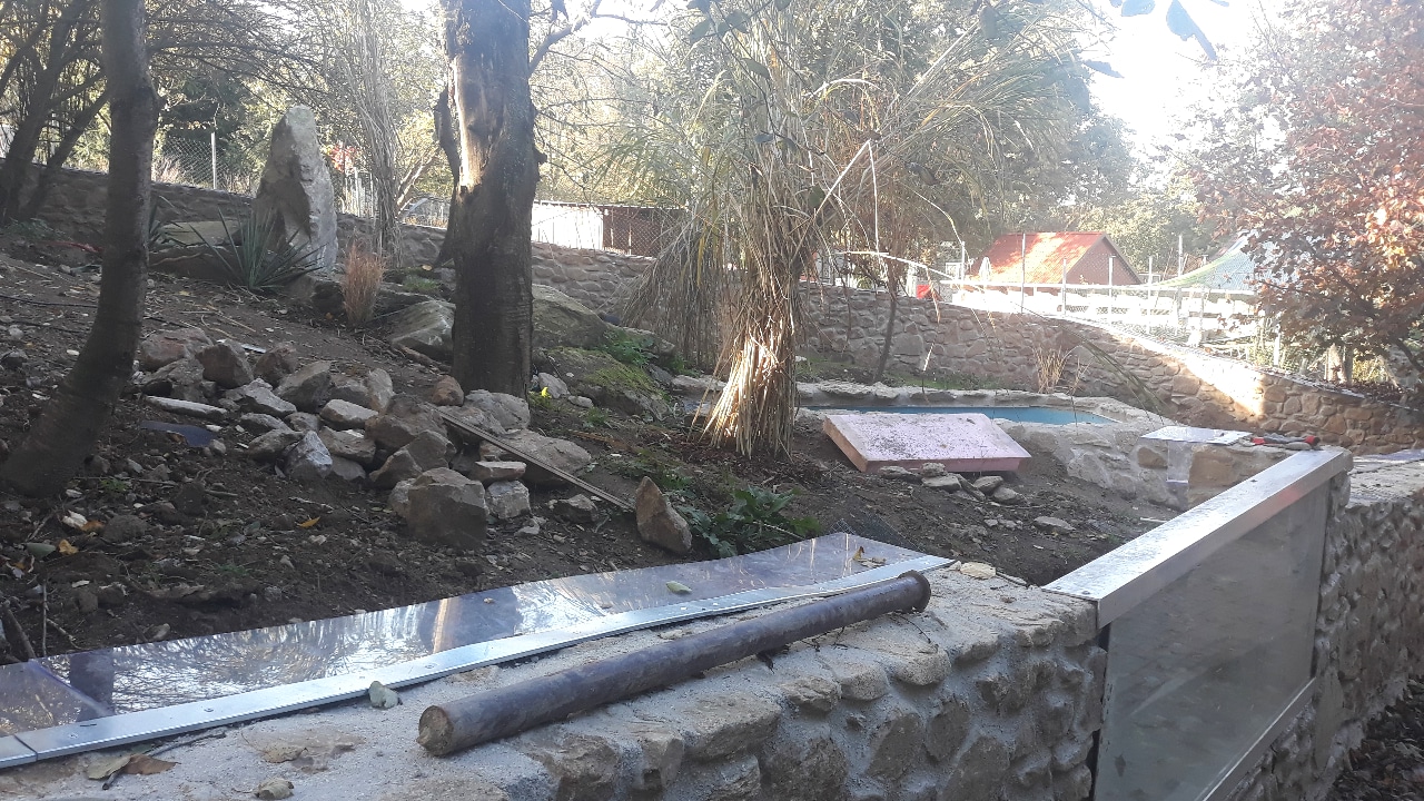 Asian small-clawed otter exhibit (in construction)