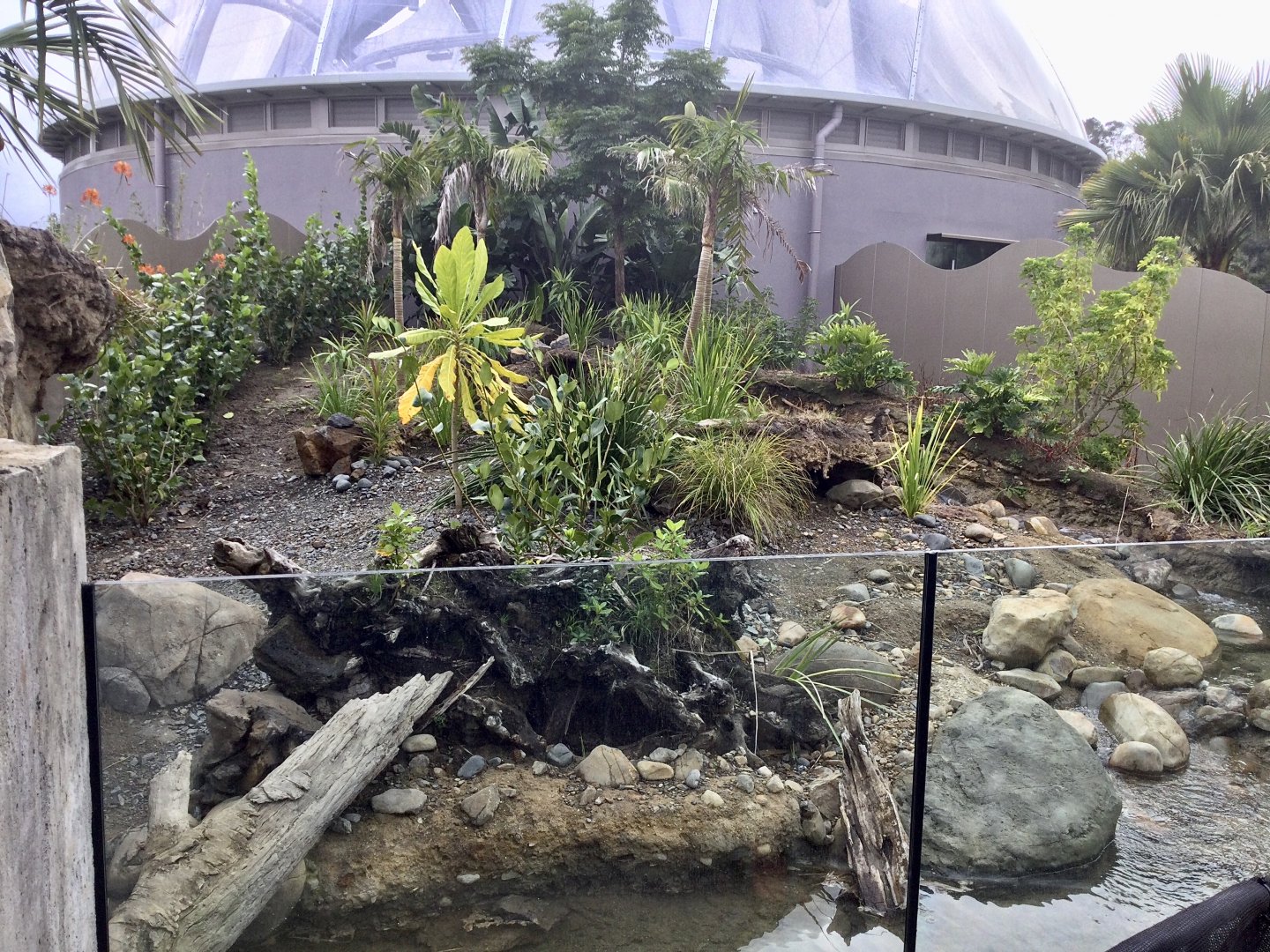 Asian Small-clawed Otter Exhibit (Large)