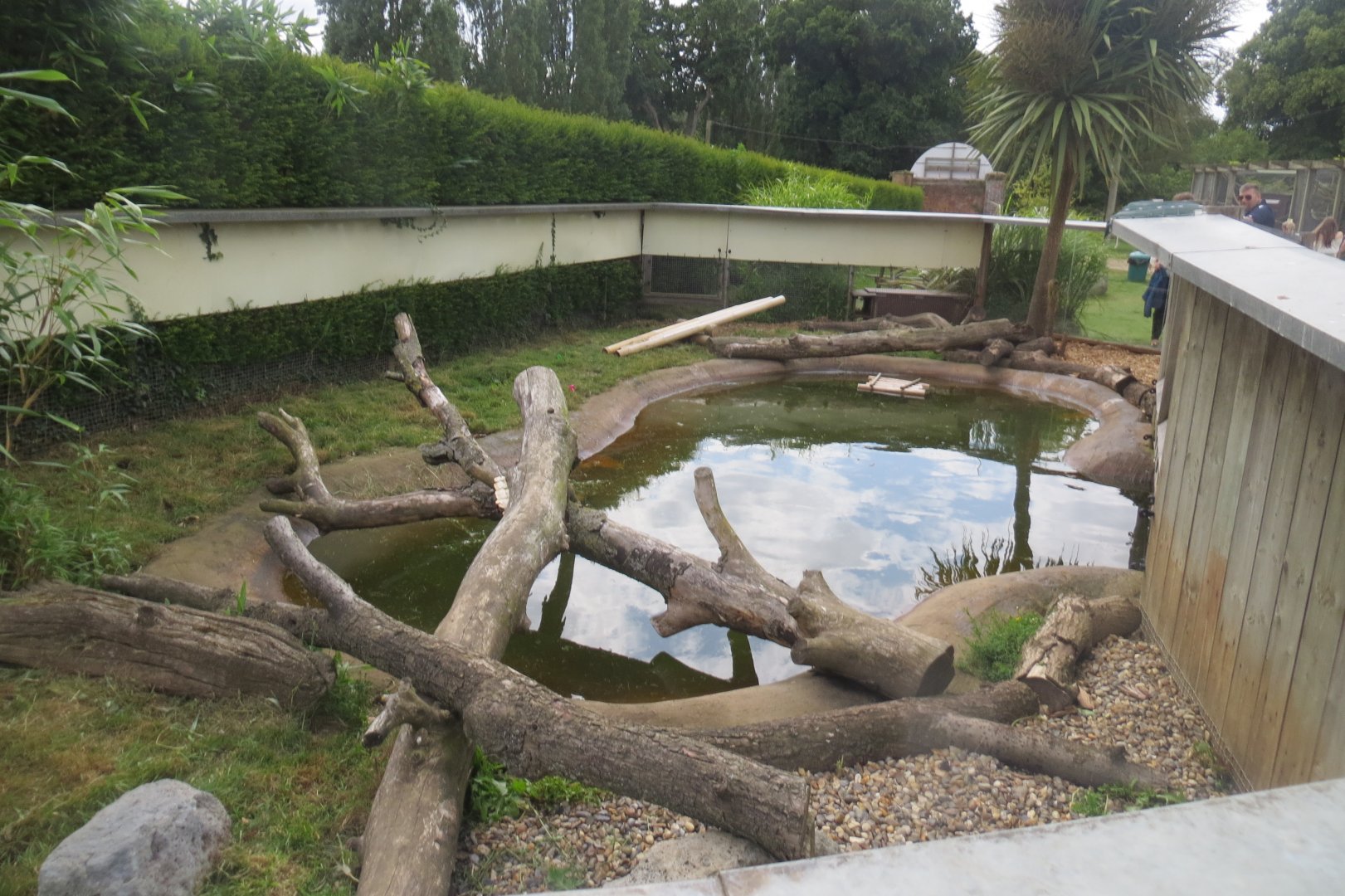 Asian small-clawed otter exhibit no.2 070819