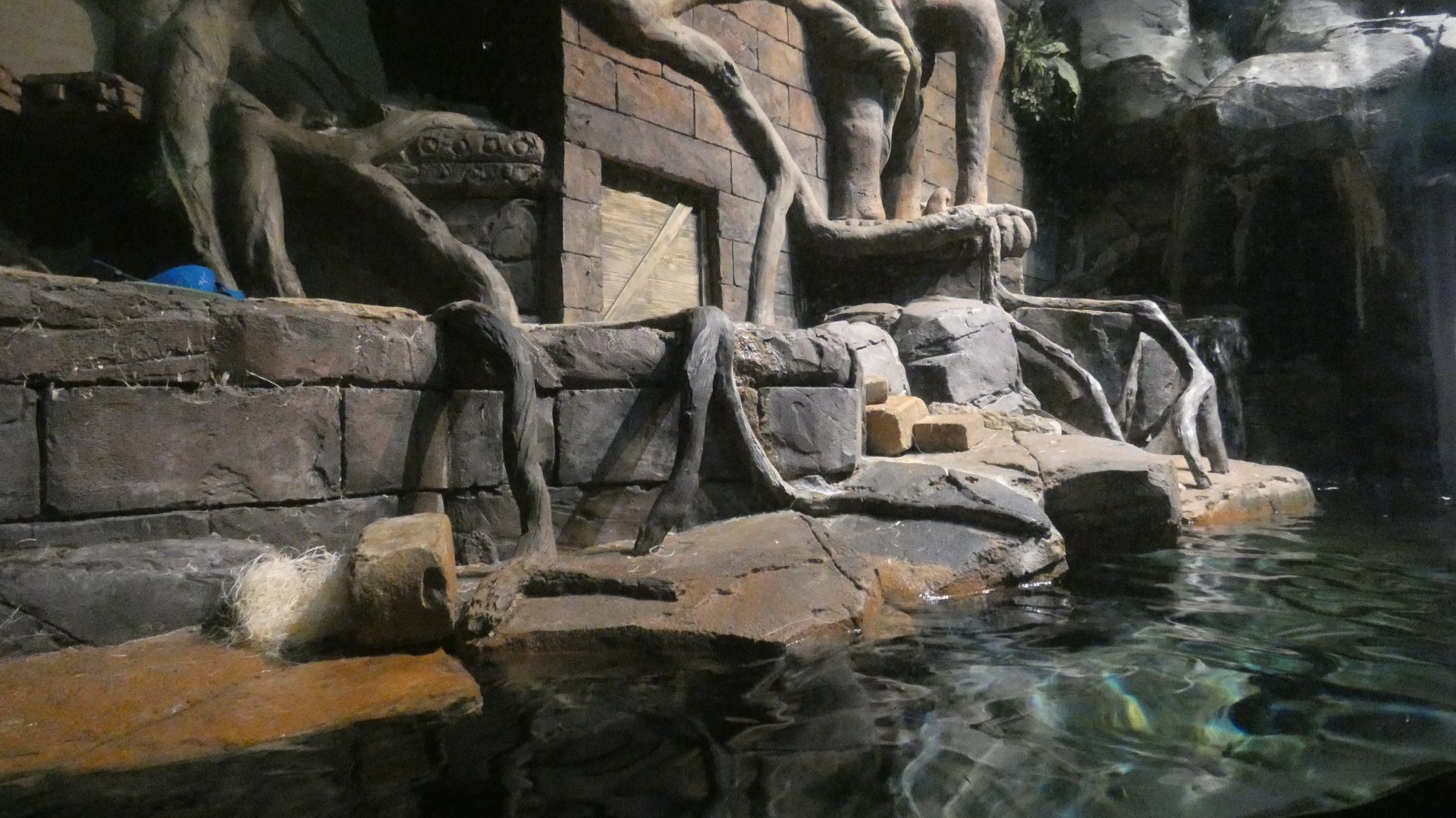 Asian Small Clawed Otter Exhibit, River Scout - Aug. 2021