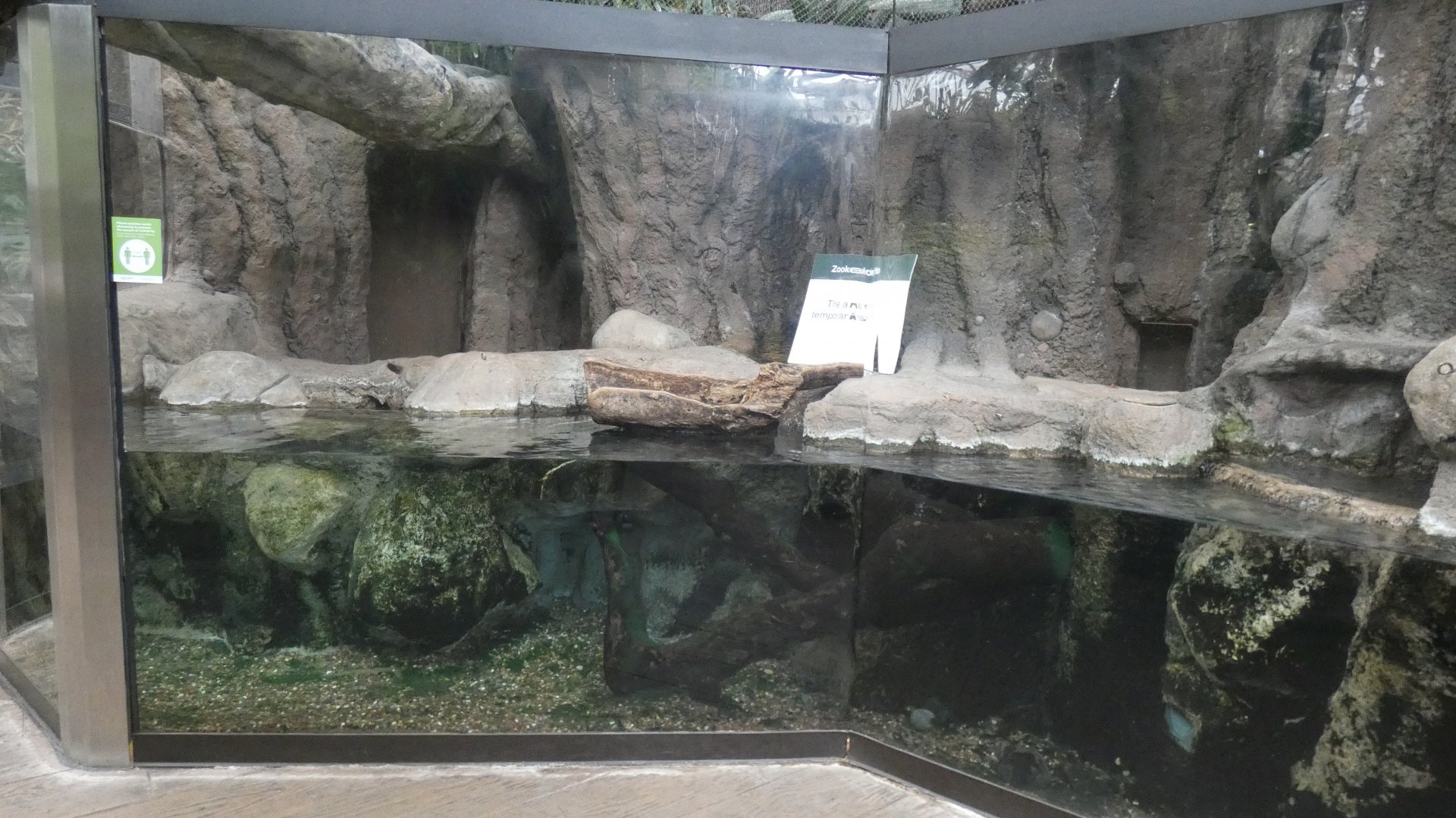 Asian Small Clawed Otter Exhibit (Section 2), Small Mammal & Reptile House - July 2022