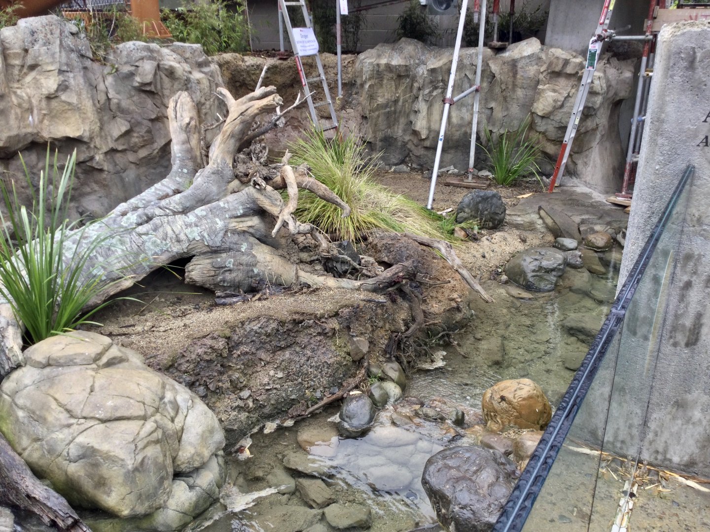 Asian Small-clawed Otter Exhibit (Small)