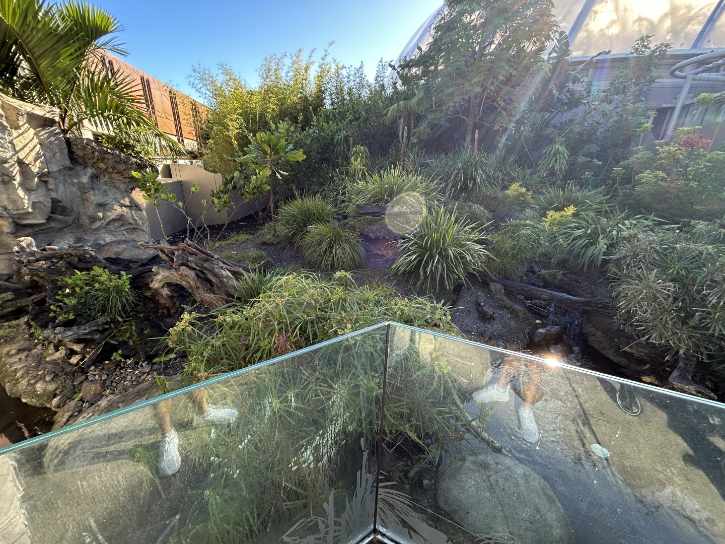 Asian Small-clawed Otter Exhibit - Southeast Asian Jungle Track