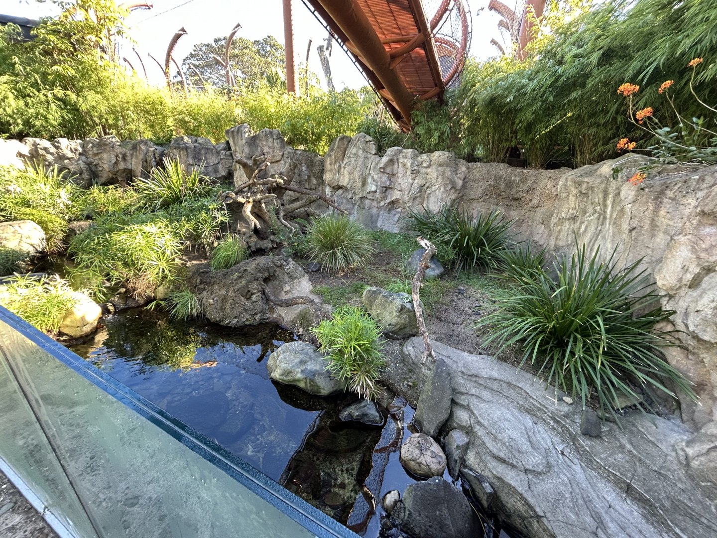 Asian Small-clawed Otter Exhibit - Southeast Asian Jungle Track