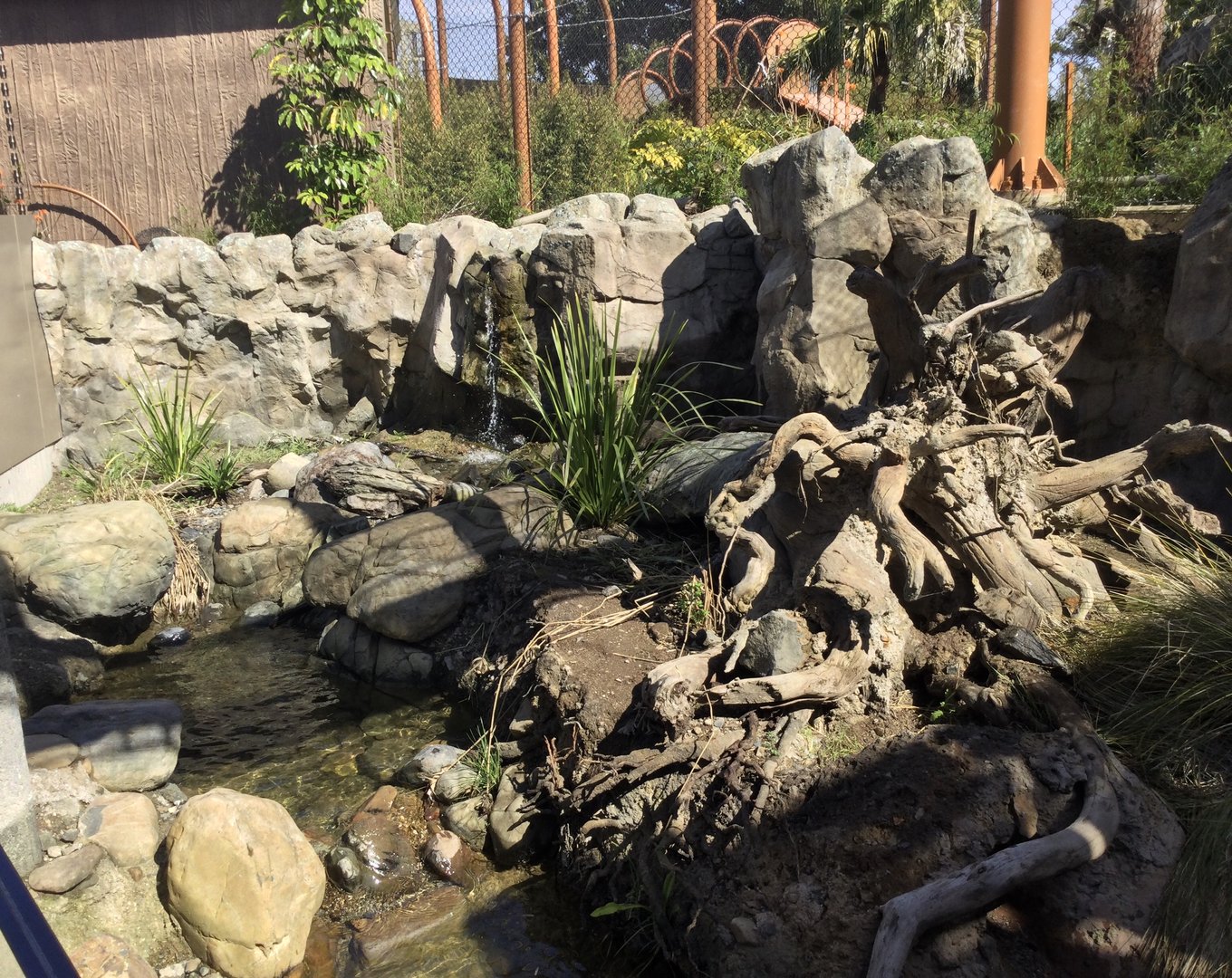 Asian Small-clawed Otter Exhibit (Tiger End)