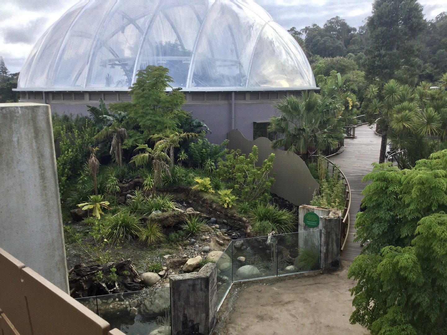 Asian Small-clawed Otter Exhibit (View from Bridge) - South East Asian Precinct