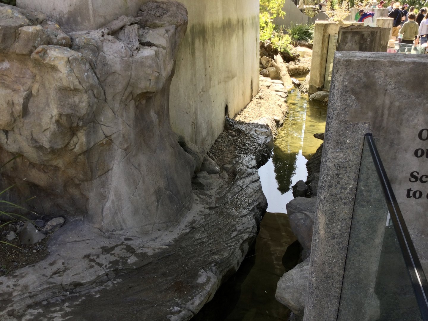 Asian Small-clawed Otter Exhibit (Water Channel)