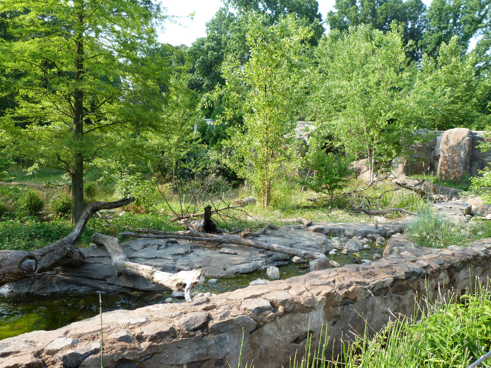 Asian Small Clawed Otter Exhibit
