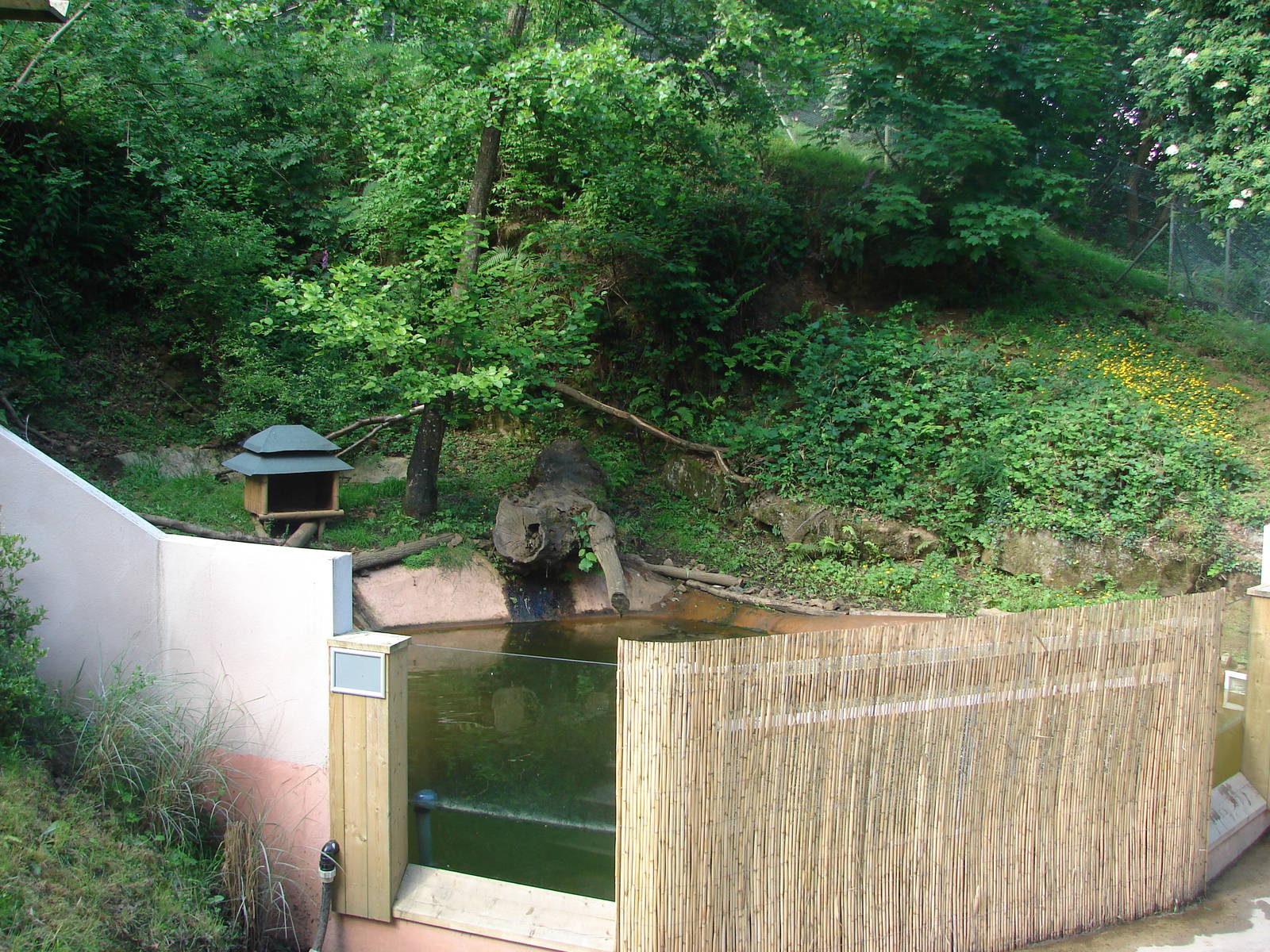 Asian small-clawed otter exhibit