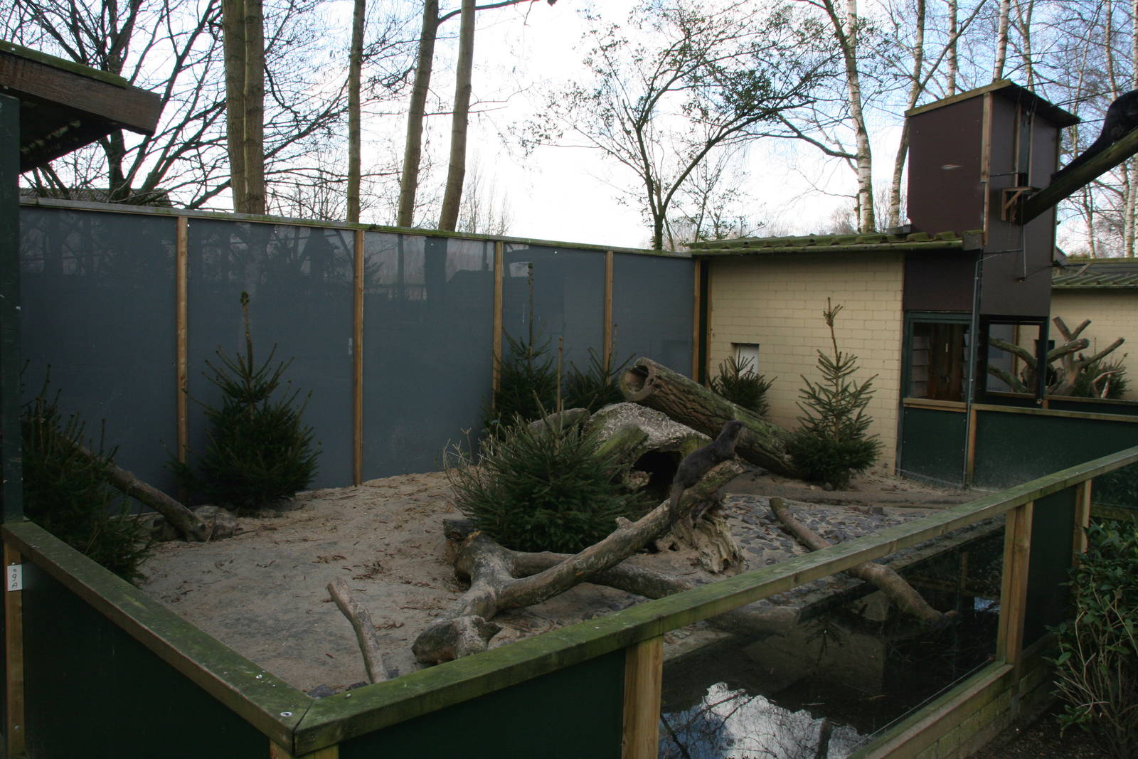 Asian small-clawed otter exhibit