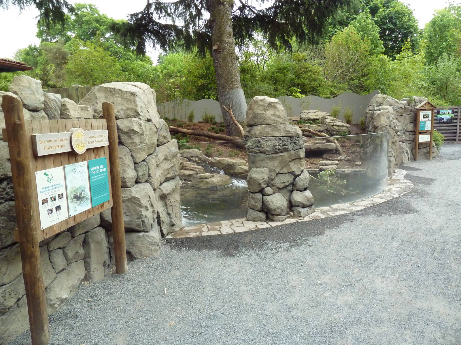 Asian Small-Clawed Otter Exhibit