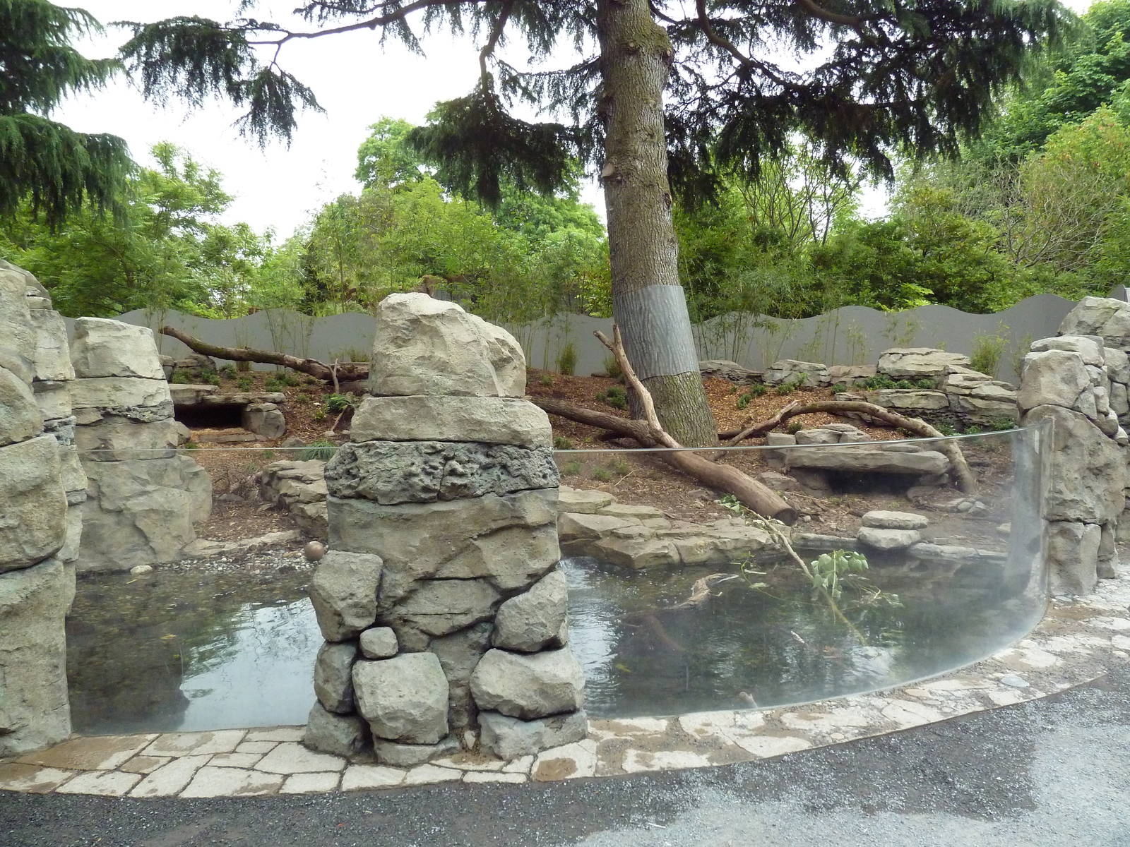 Asian Small-Clawed Otter Exhibit