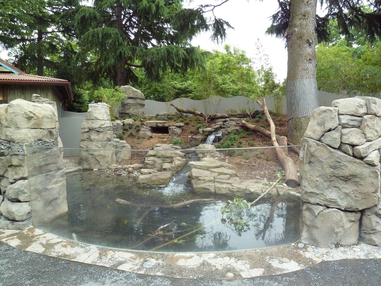 Asian Small-Clawed Otter Exhibit