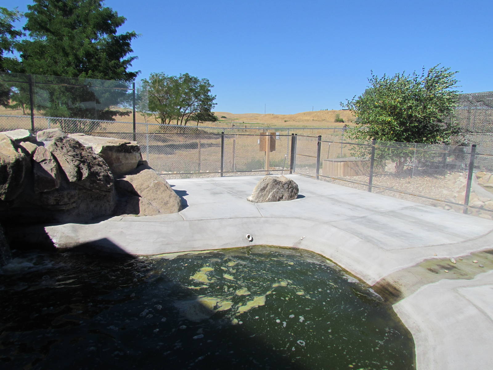 Asian Small-clawed Otter Exhibit