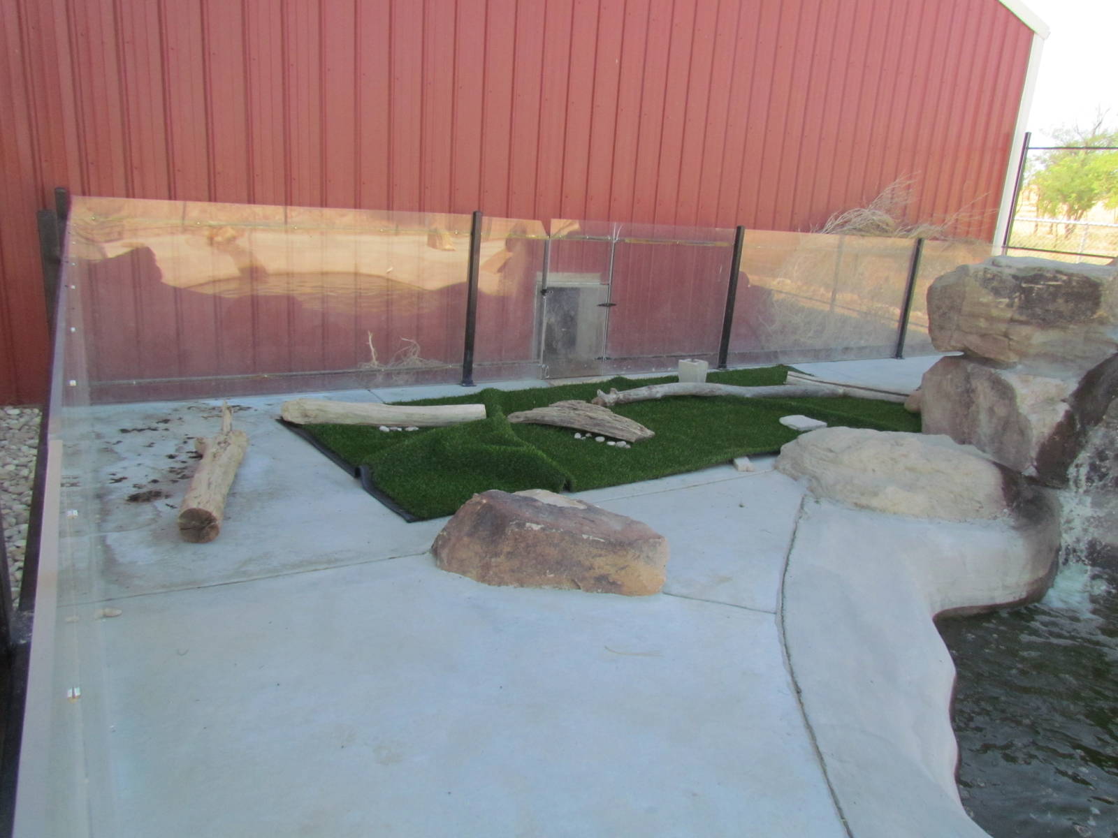 Asian Small-clawed Otter Exhibit