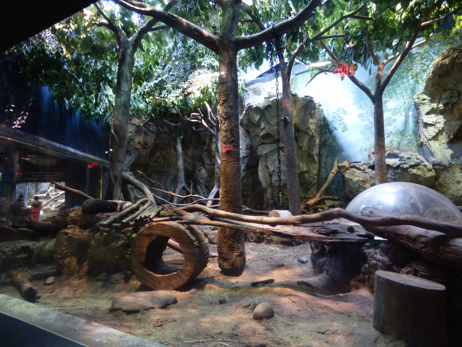 Asian Small Clawed Otter Exhibit