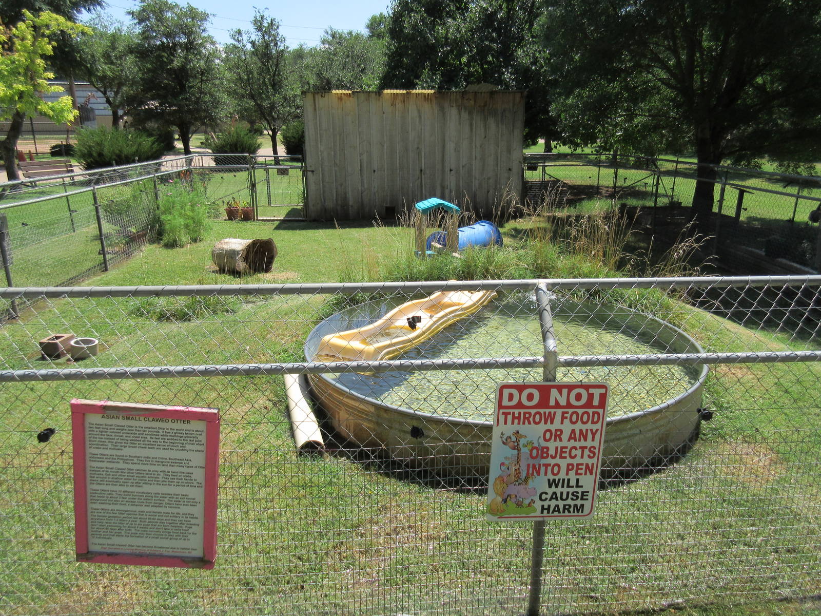 Asian Small-Clawed Otter Exhibit