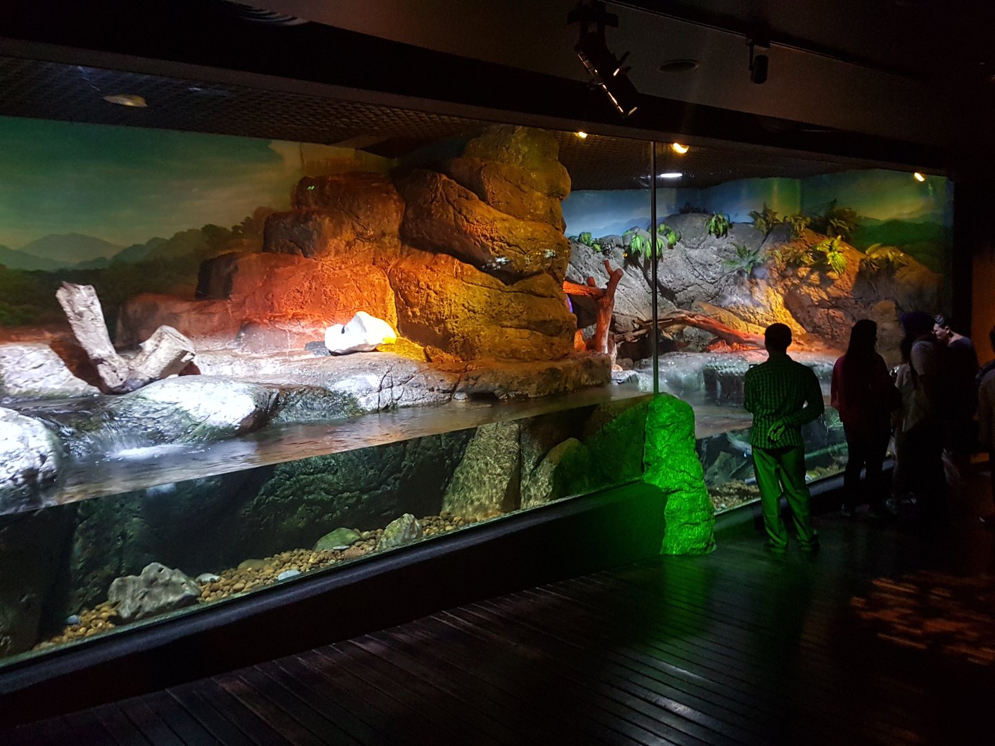 Asian small-clawed otter exhibit