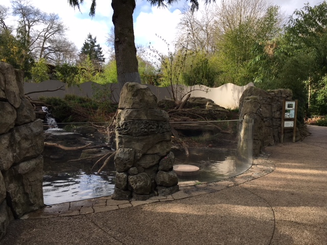 Asian Small-Clawed Otter Exhibit