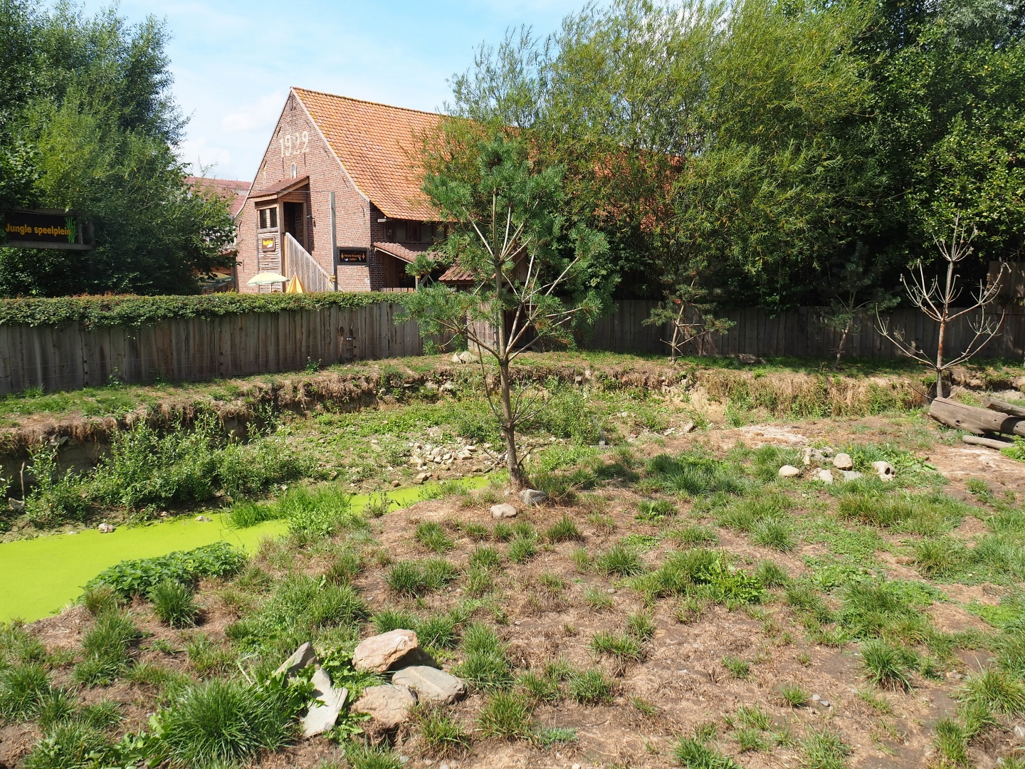 Asian small-clawed otter exhibit