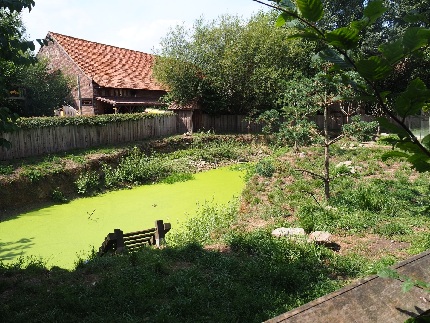 Asian small-clawed otter exhibit