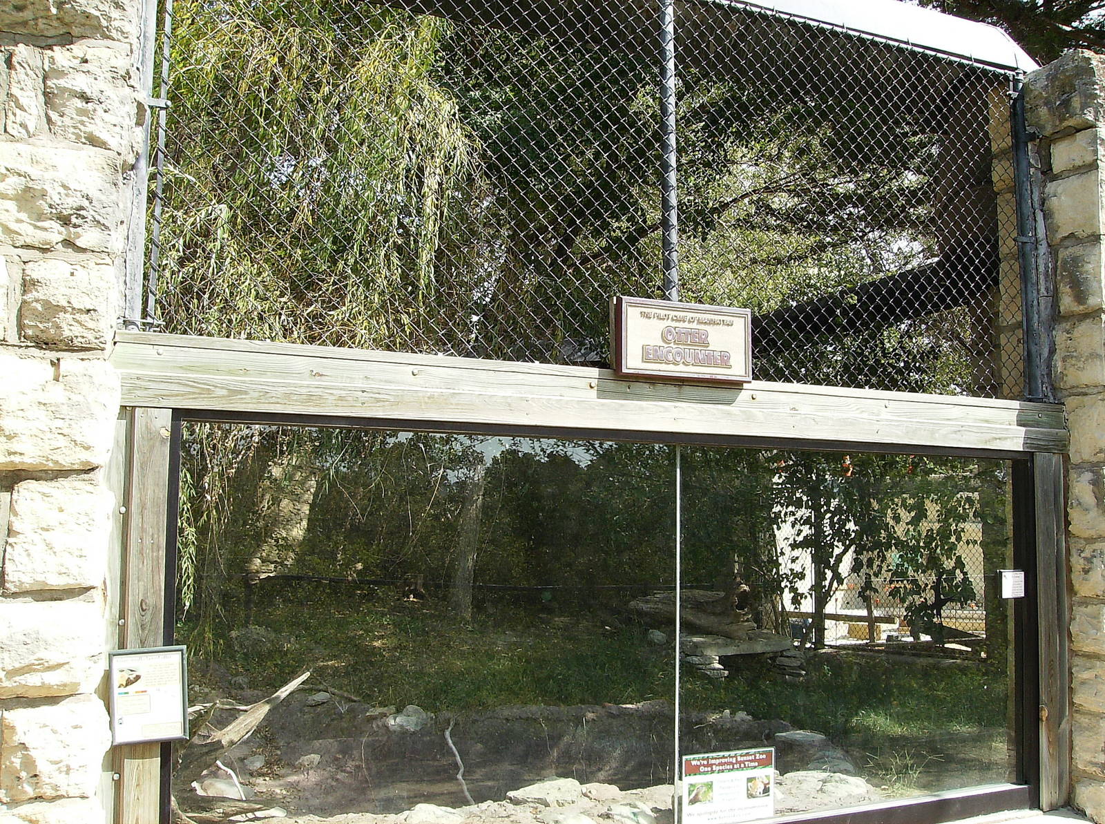 Asian Small-clawed Otter exhibit