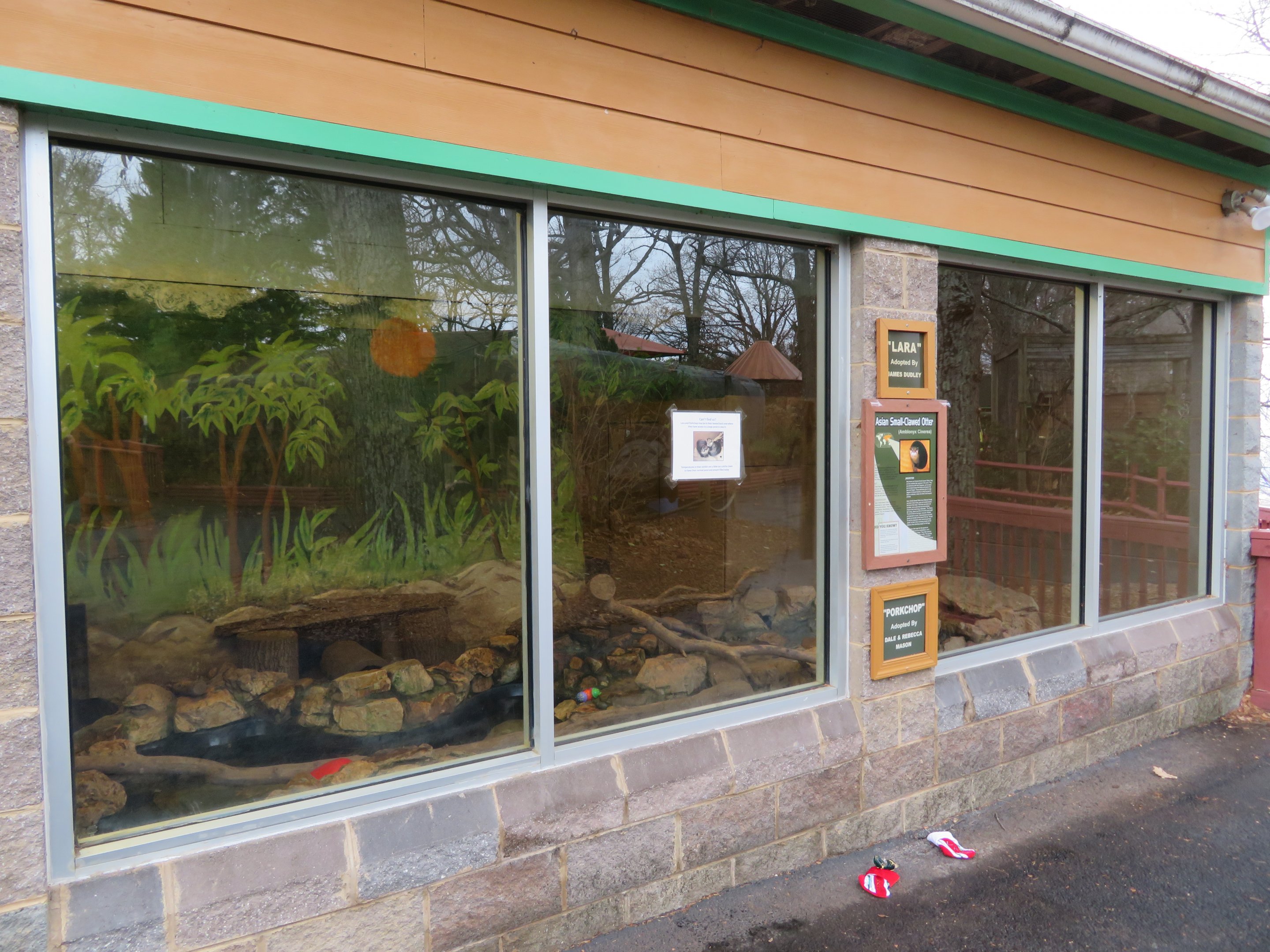 Asian Small-clawed Otter Exhibit