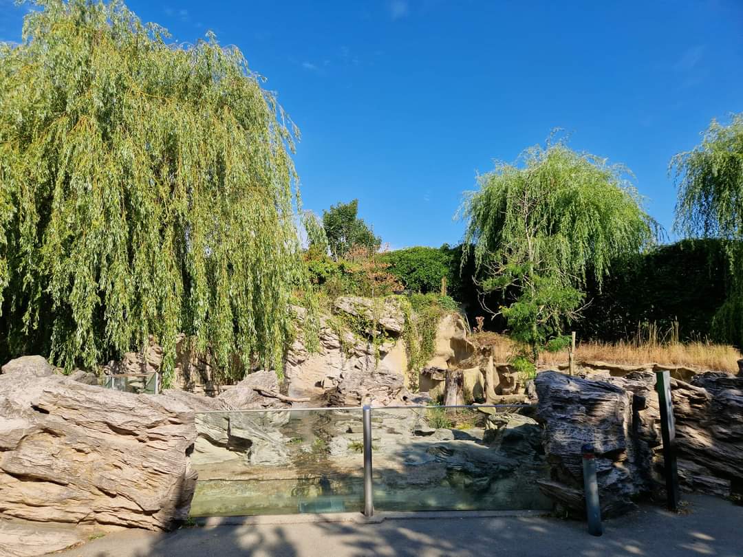 Asian Small-clawed Otter exhibit