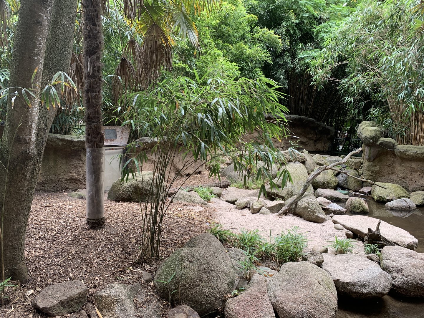 Asian Small-clawed Otter Exhibit