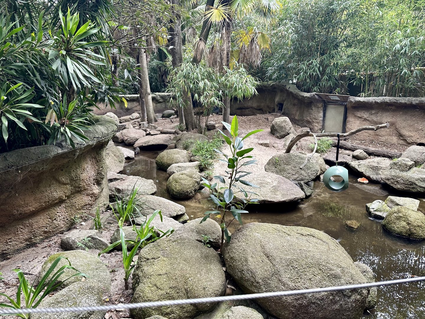 Asian Small-Clawed Otter Exhibit
