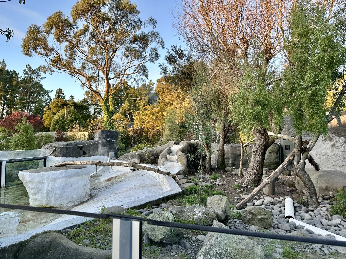 Asian Small-clawed Otter Exhibit