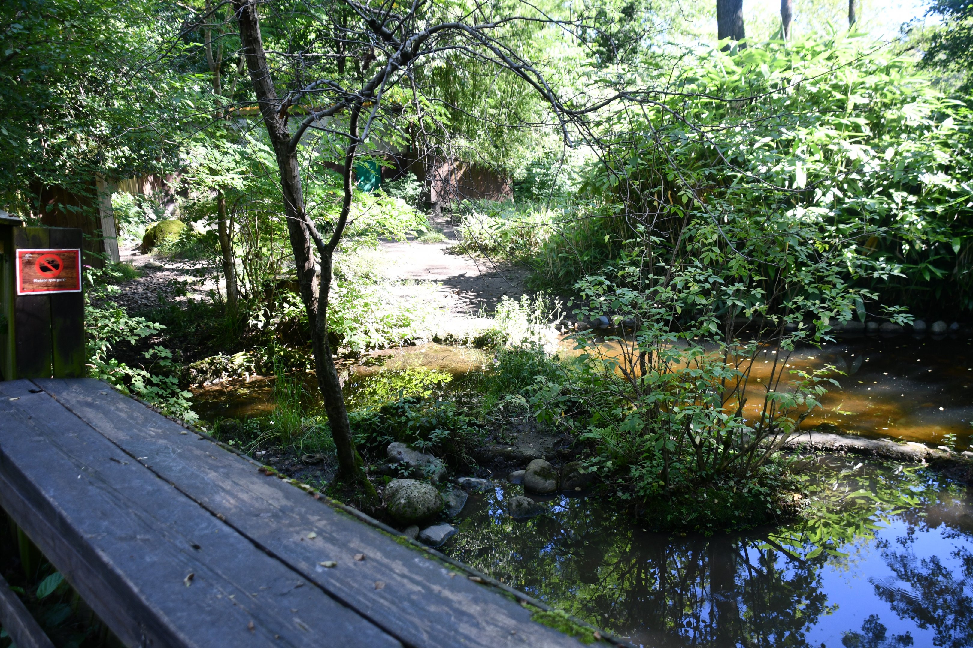 Asian Small-clawed Otter exhibit