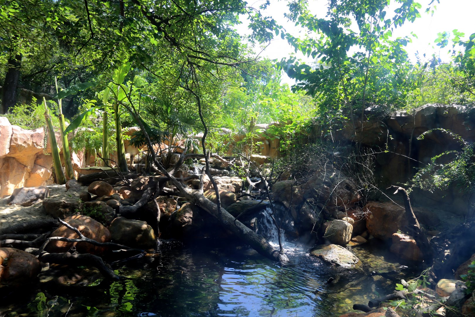 Asian Small-clawed Otter Exhibit