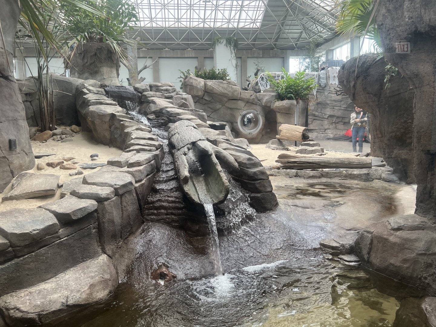 Asian Small-clawed Otter Exhibit