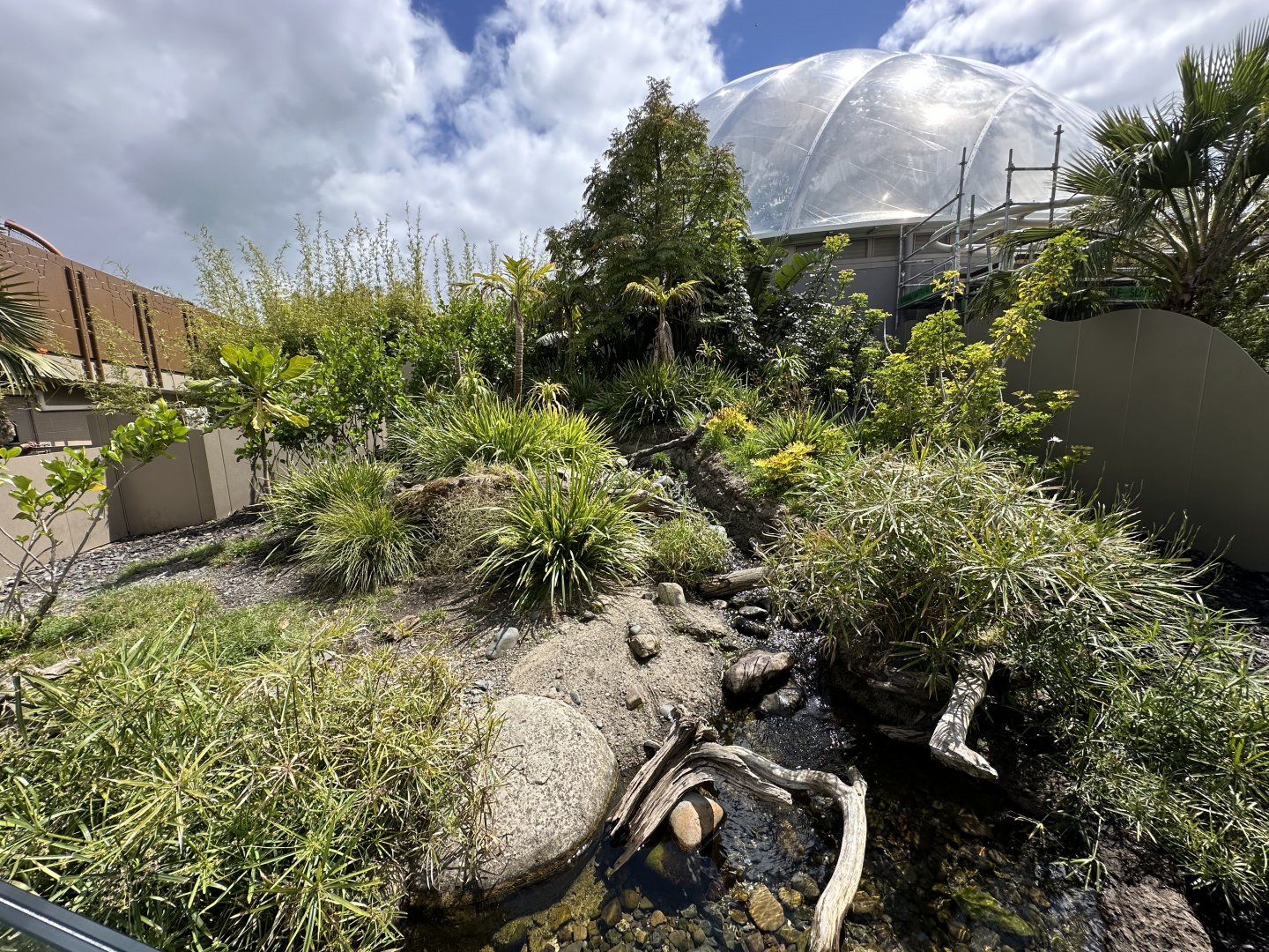 Asian Small-clawed Otter Exhibit