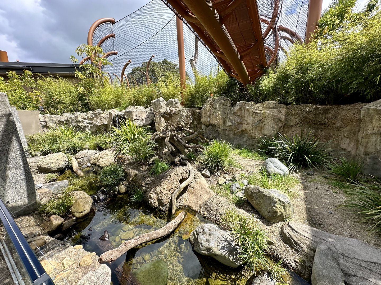 Asian Small-clawed Otter Exhibit