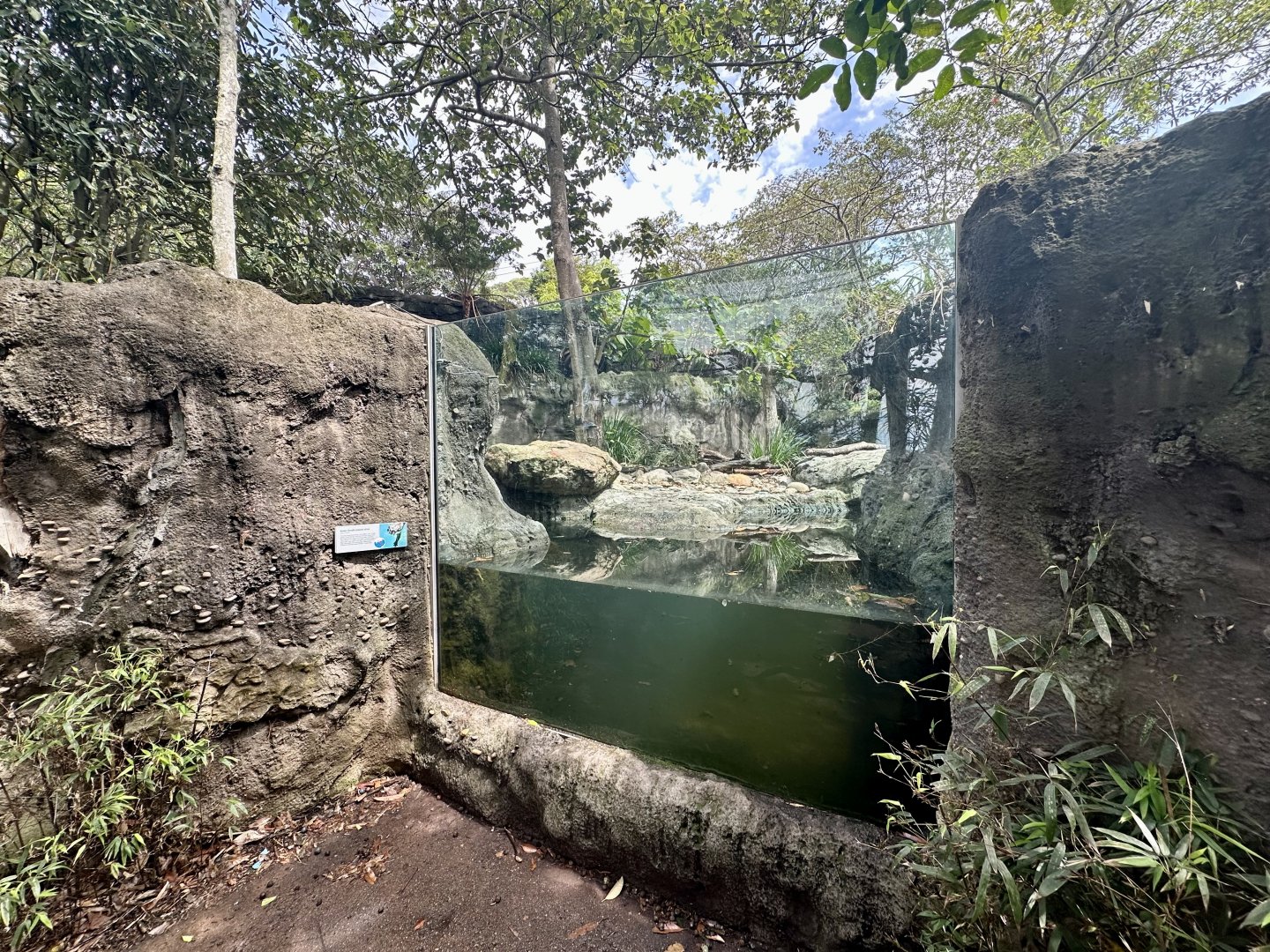 Asian Small-clawed Otter Exhibit