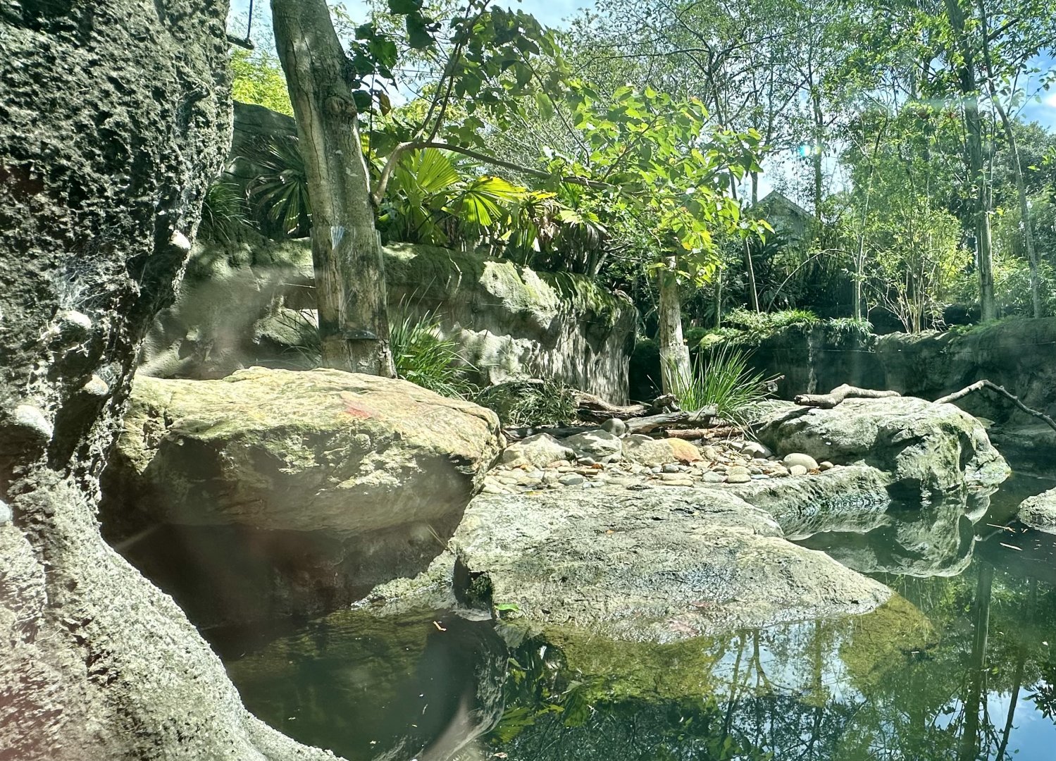 Asian Small-Clawed Otter Exhibit