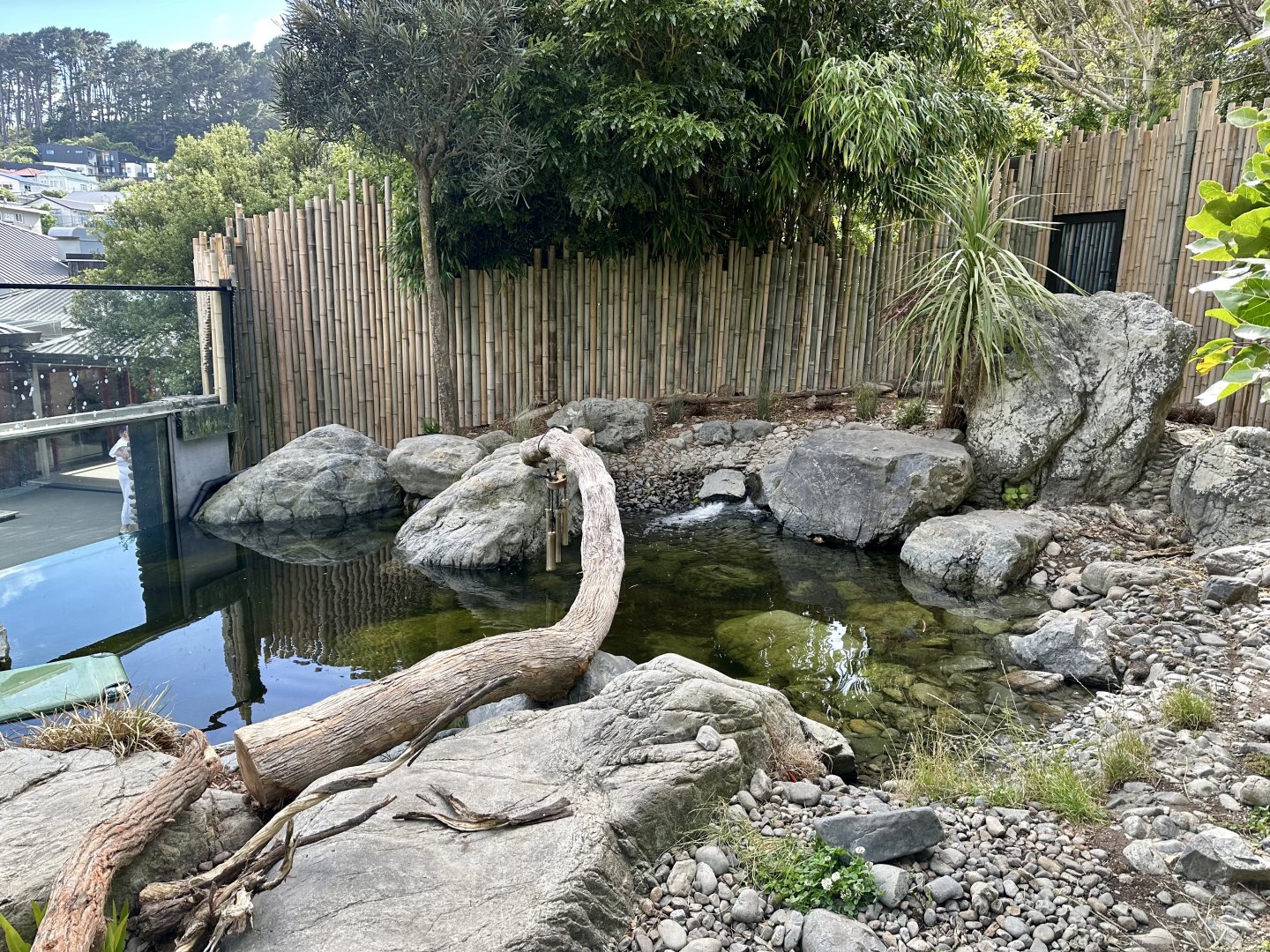 Asian-small Clawed Otter Exhibit
